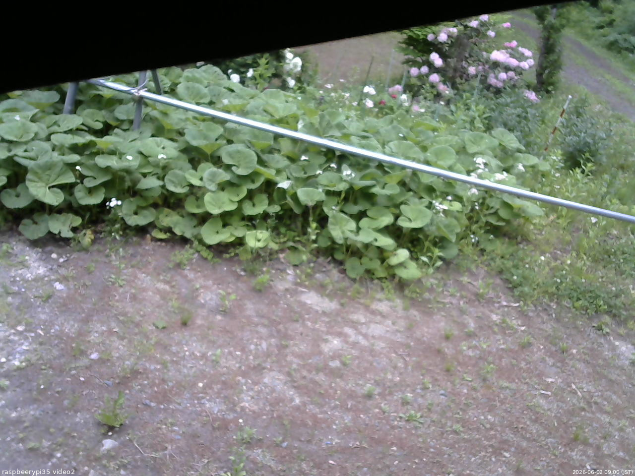 長野県菅平高原 ゆたか山荘 駐車場 2026/06/02 09:00