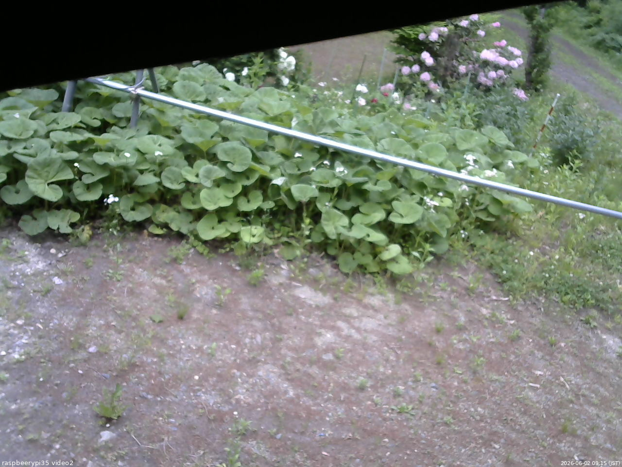 長野県菅平高原 ゆたか山荘 駐車場 2026/06/02 09:15