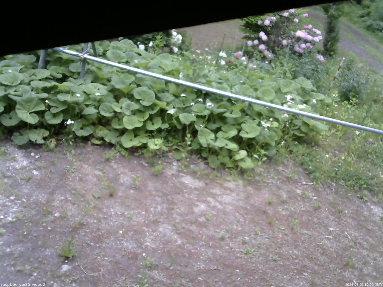 長野県菅平高原 ゆたか山荘 駐車場 2026/06/02 10:00
