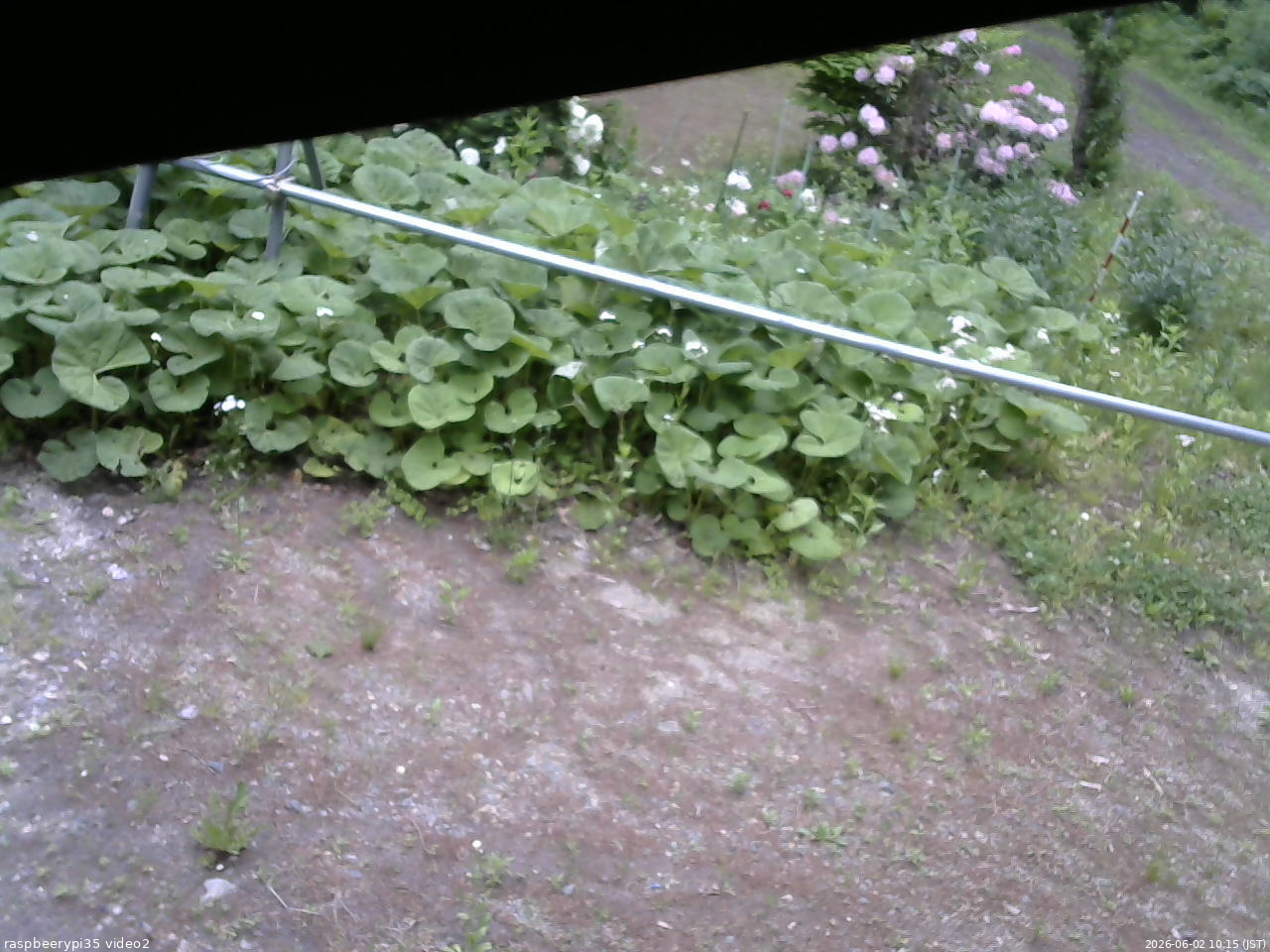長野県菅平高原 ゆたか山荘 駐車場 2026/06/02 10:15