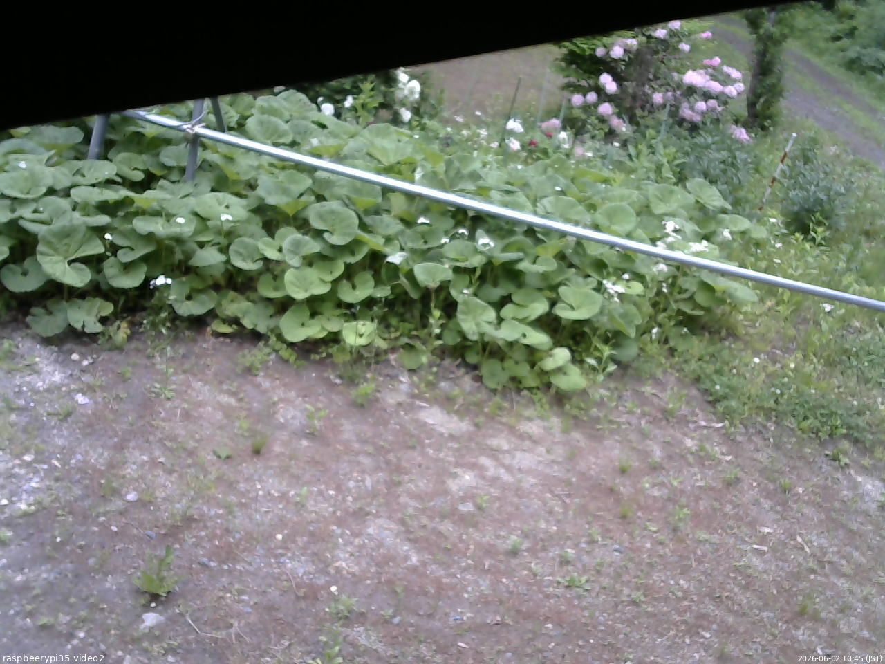 長野県菅平高原 ゆたか山荘 駐車場 2026/06/02 10:45