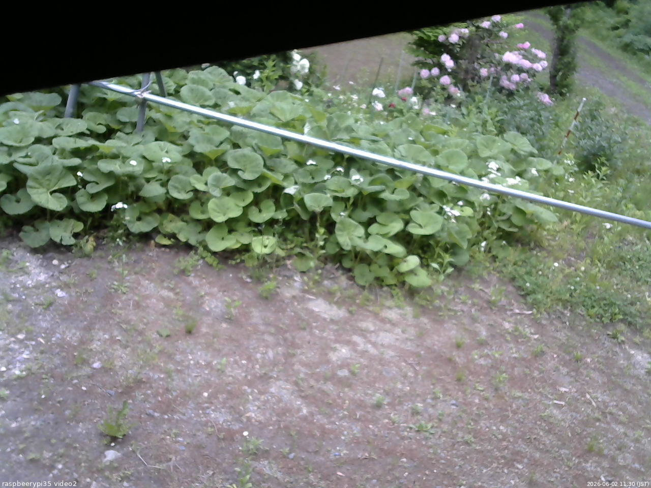 長野県菅平高原 ゆたか山荘 駐車場 2026/06/02 11:30