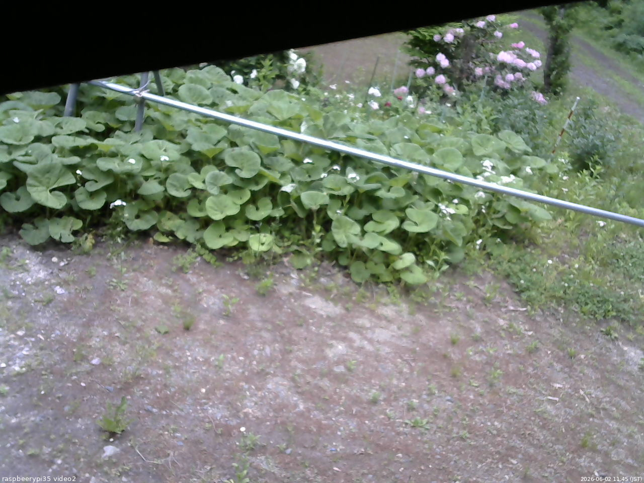 長野県菅平高原 ゆたか山荘 駐車場 2026/06/02 11:45