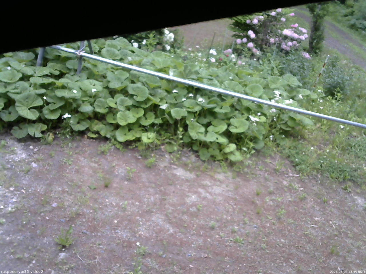 長野県菅平高原 ゆたか山荘 駐車場 2026/06/02 13:45