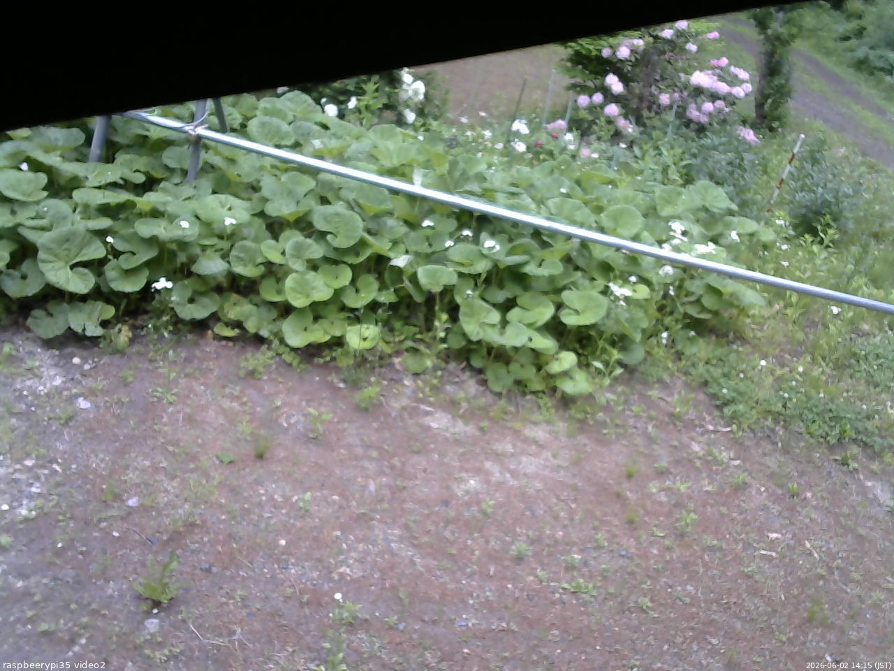 長野県菅平高原 ゆたか山荘 駐車場 2026/06/02 14:15