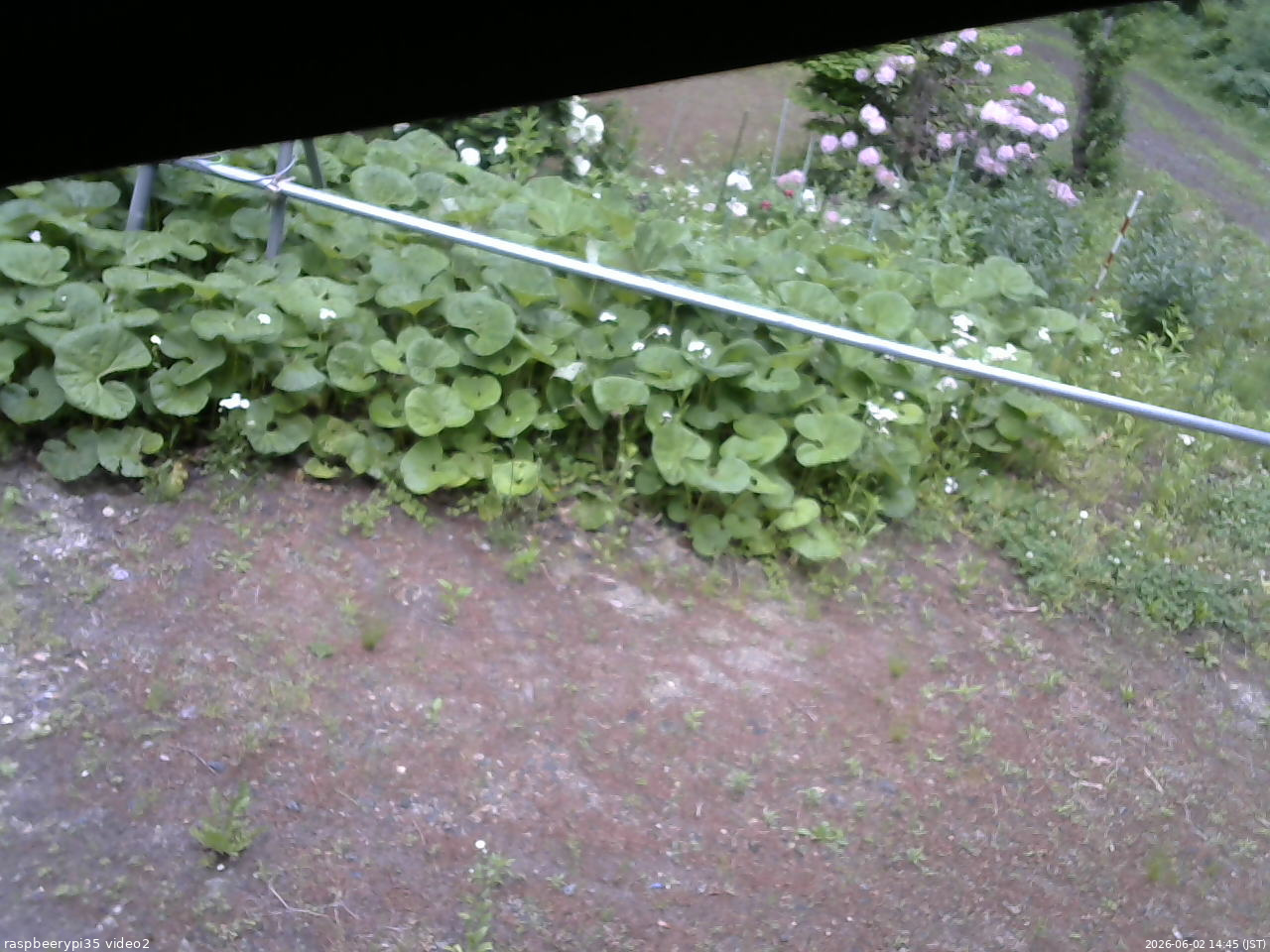長野県菅平高原 ゆたか山荘 駐車場 2026/06/02 14:45