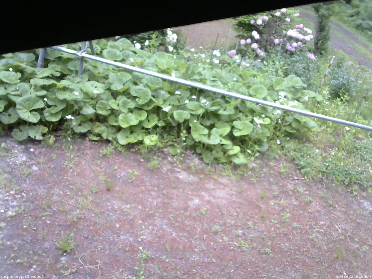 長野県菅平高原 ゆたか山荘 駐車場 2026/06/02 15:30