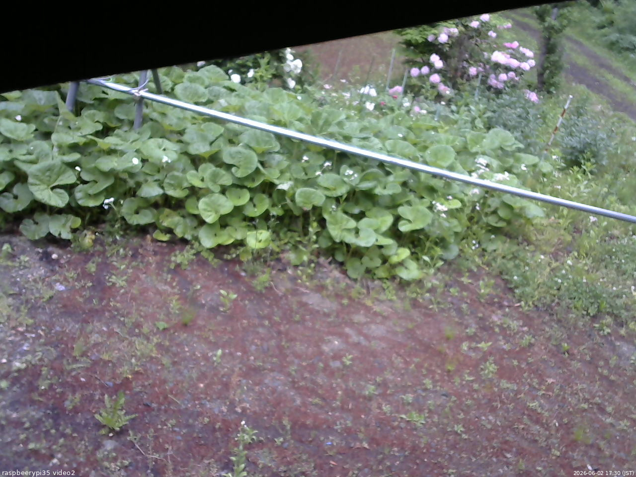 長野県菅平高原 ゆたか山荘 駐車場 2026/06/02 17:30
