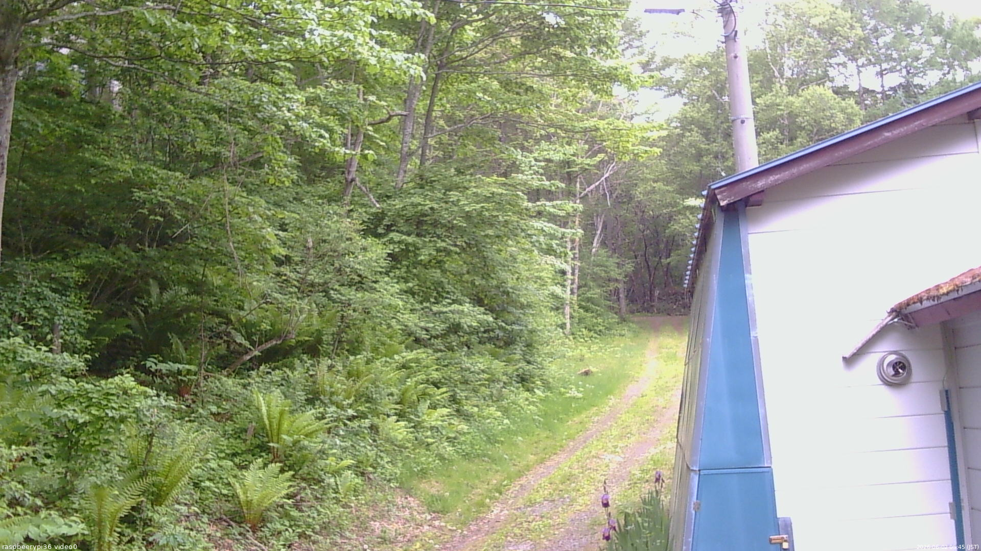 長野県菅平高原 ゆたか山荘 ゆたか山荘 2026/06/02 05:45