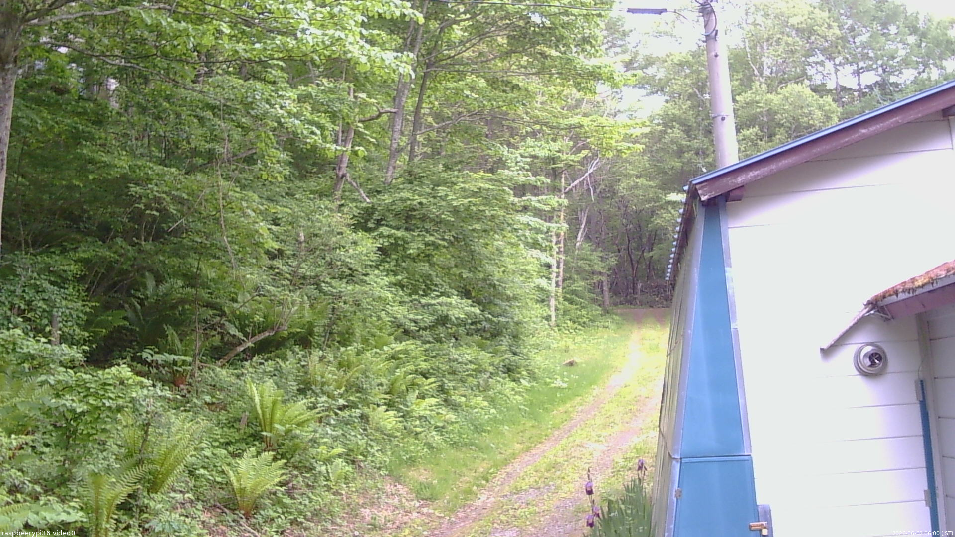 長野県菅平高原 ゆたか山荘 ゆたか山荘 2026/06/02 06:00