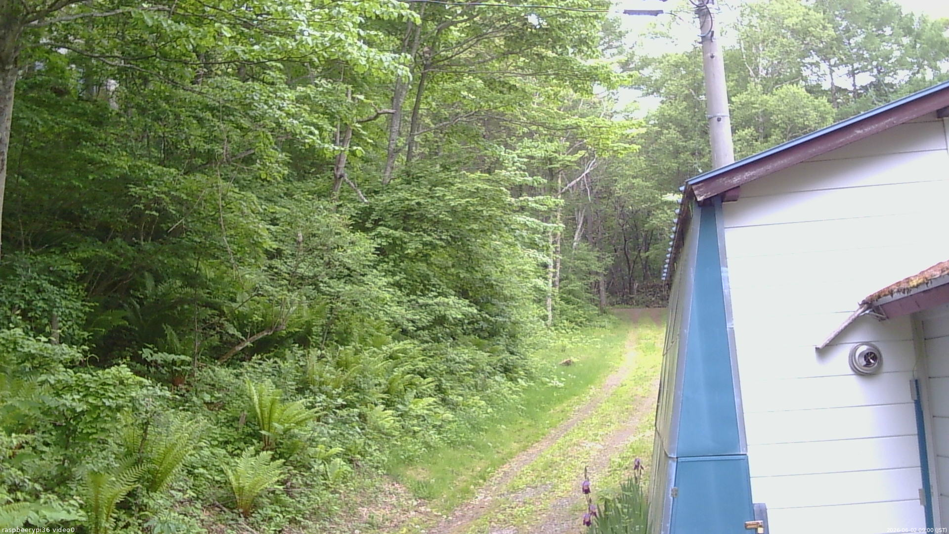 長野県菅平高原 ゆたか山荘 ゆたか山荘 2026/06/02 09:00