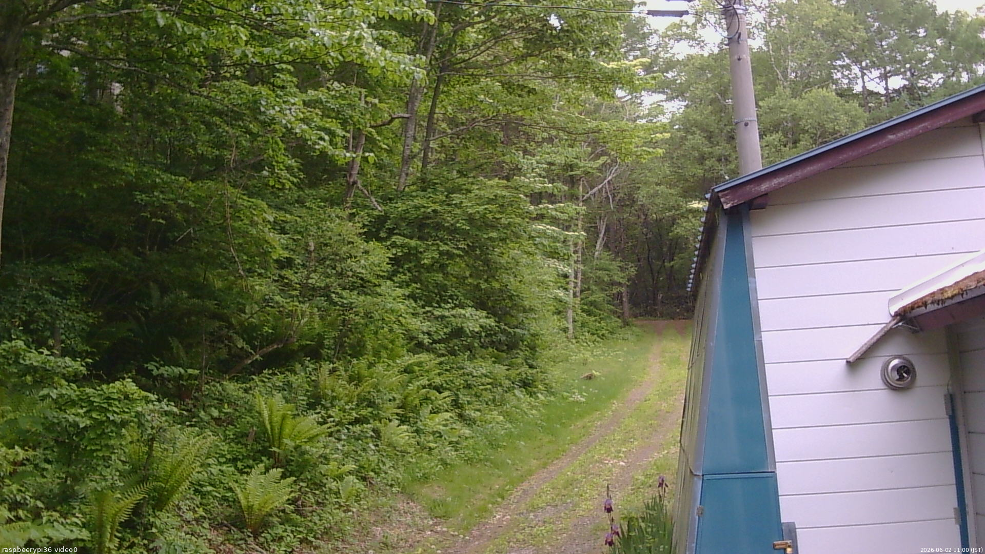 長野県菅平高原 ゆたか山荘 ゆたか山荘 2026/06/02 11:00