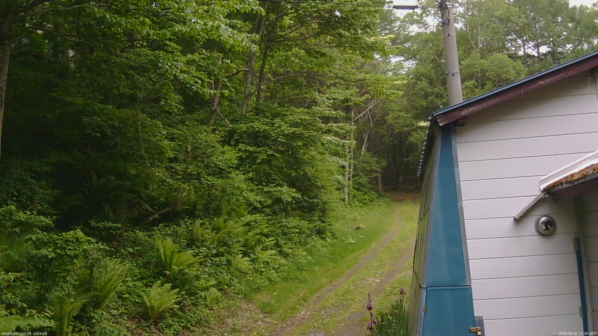 長野県菅平高原 ゆたか山荘 ゆたか山荘 2026/06/02 15:30