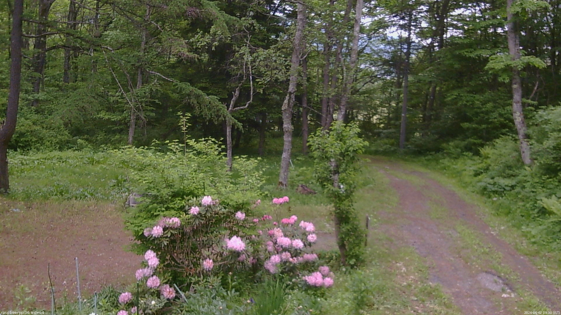 長野県菅平高原 ゆたか山荘 坂上 2026/06/02 09:30