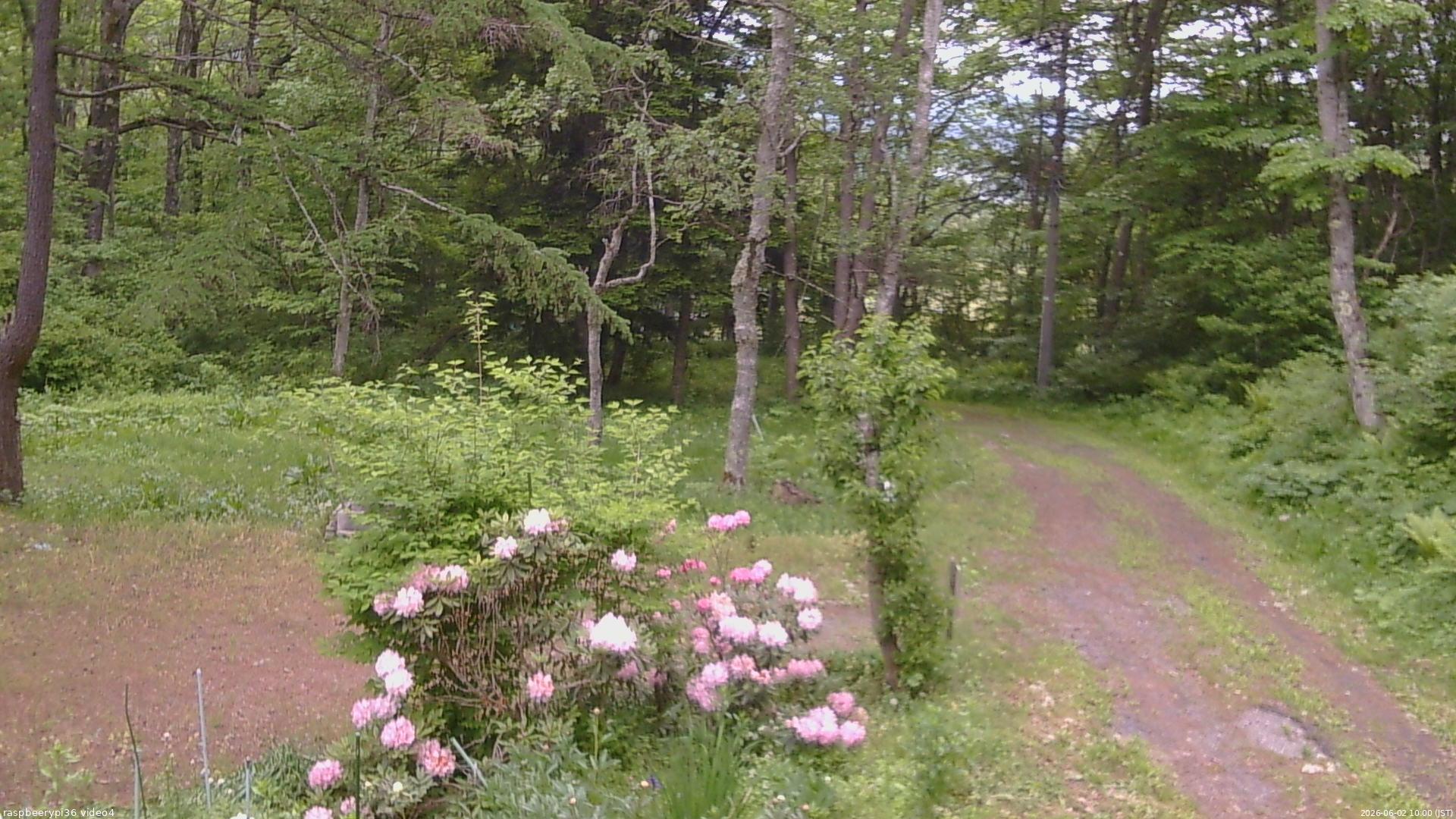 長野県菅平高原 ゆたか山荘 坂上 2026/06/02 10:00