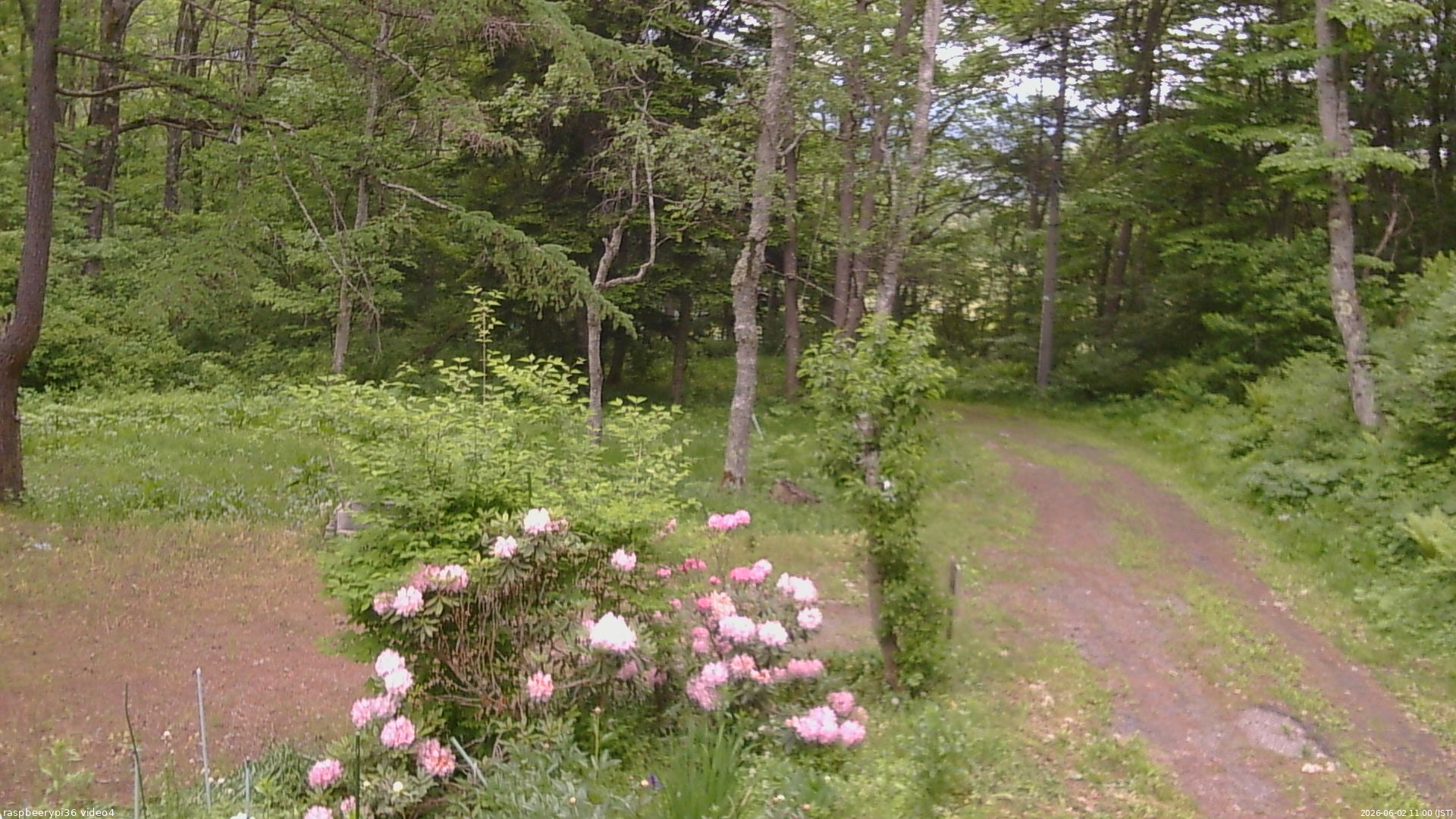 長野県菅平高原 ゆたか山荘 坂上 2026/06/02 11:00
