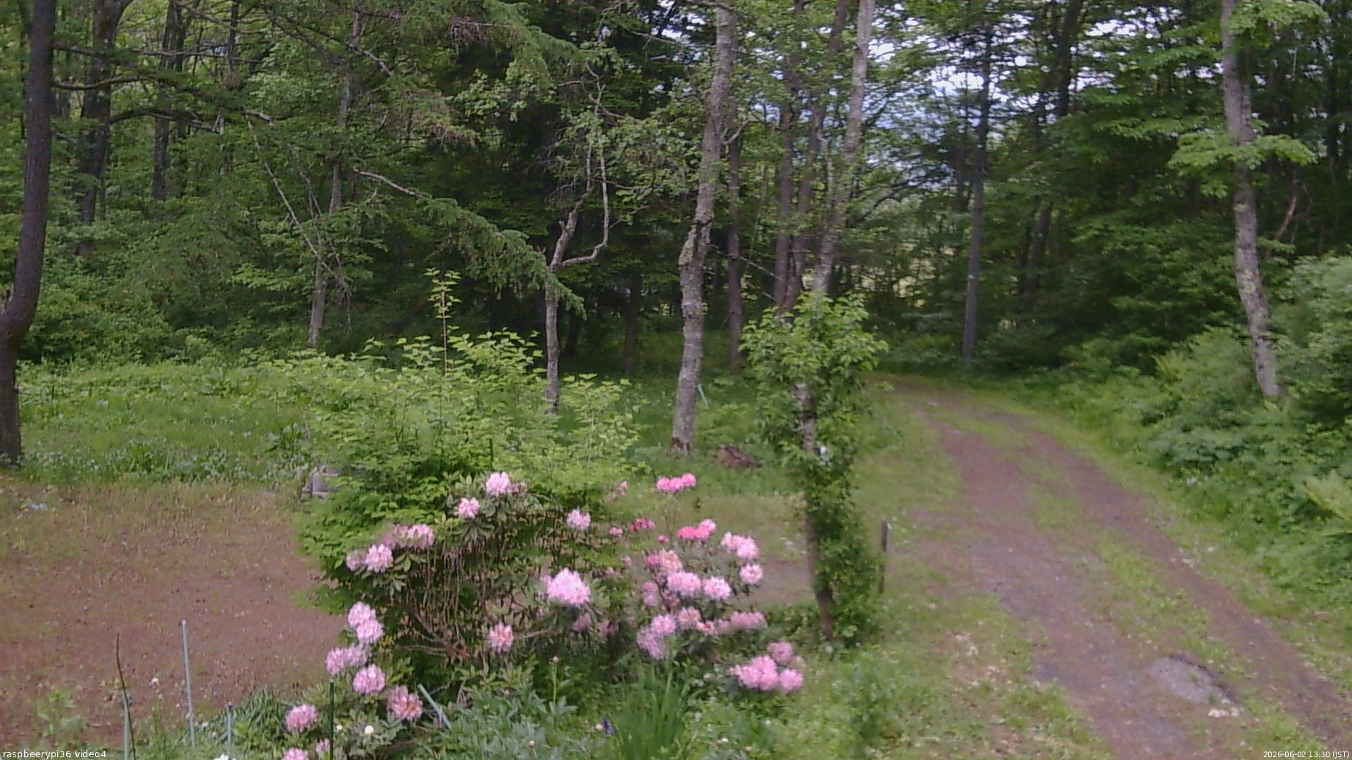 長野県菅平高原 ゆたか山荘 坂上 2026/06/02 13:30