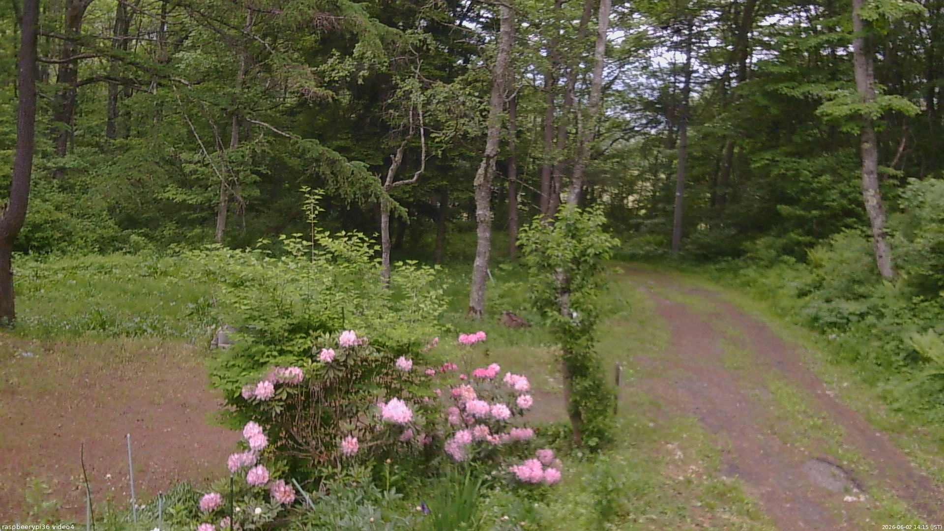 長野県菅平高原 ゆたか山荘 坂上 2026/06/02 14:15