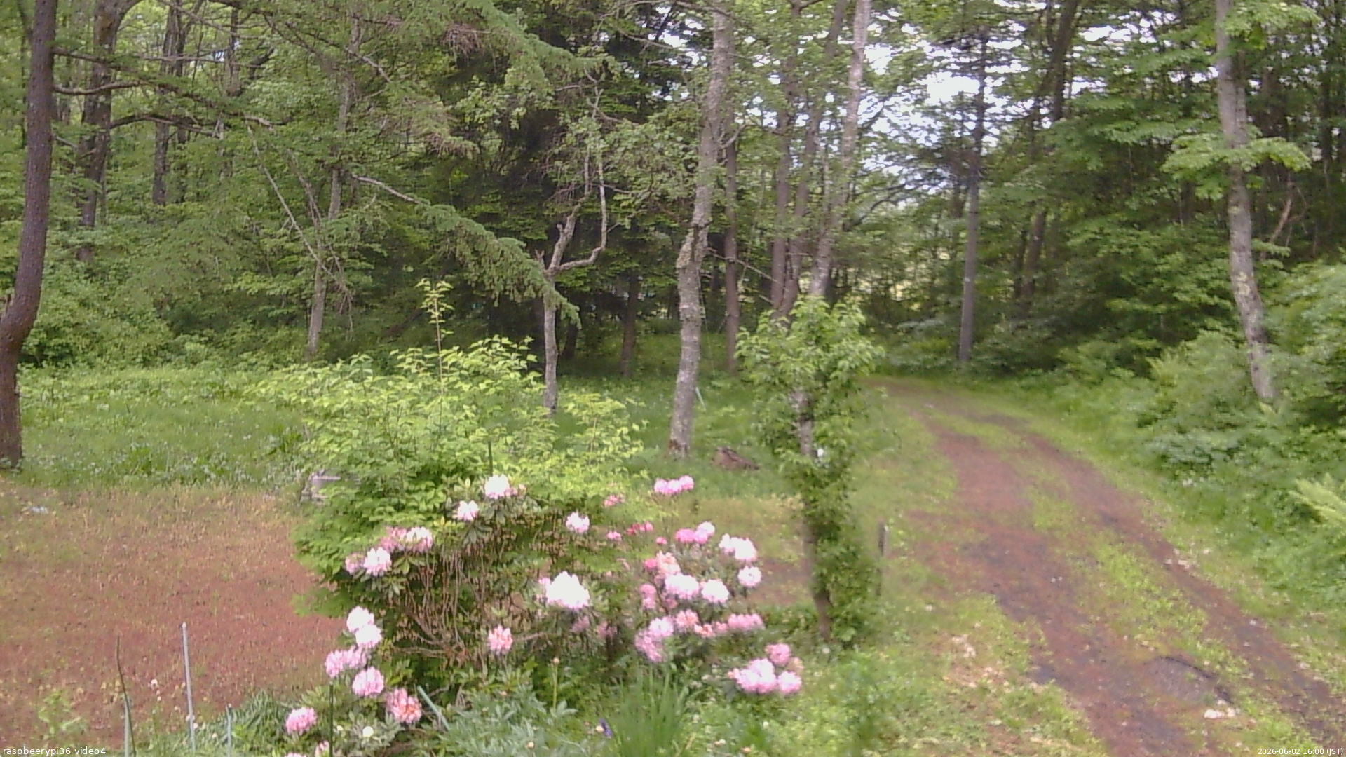 長野県菅平高原 ゆたか山荘 坂上 2026/06/02 16:00