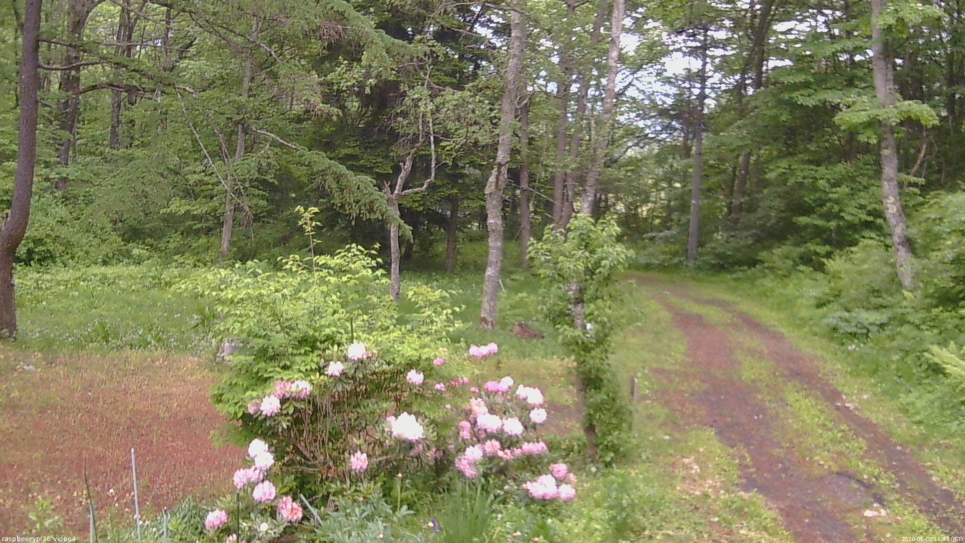 長野県菅平高原 ゆたか山荘 坂上 2026/06/02 16:45