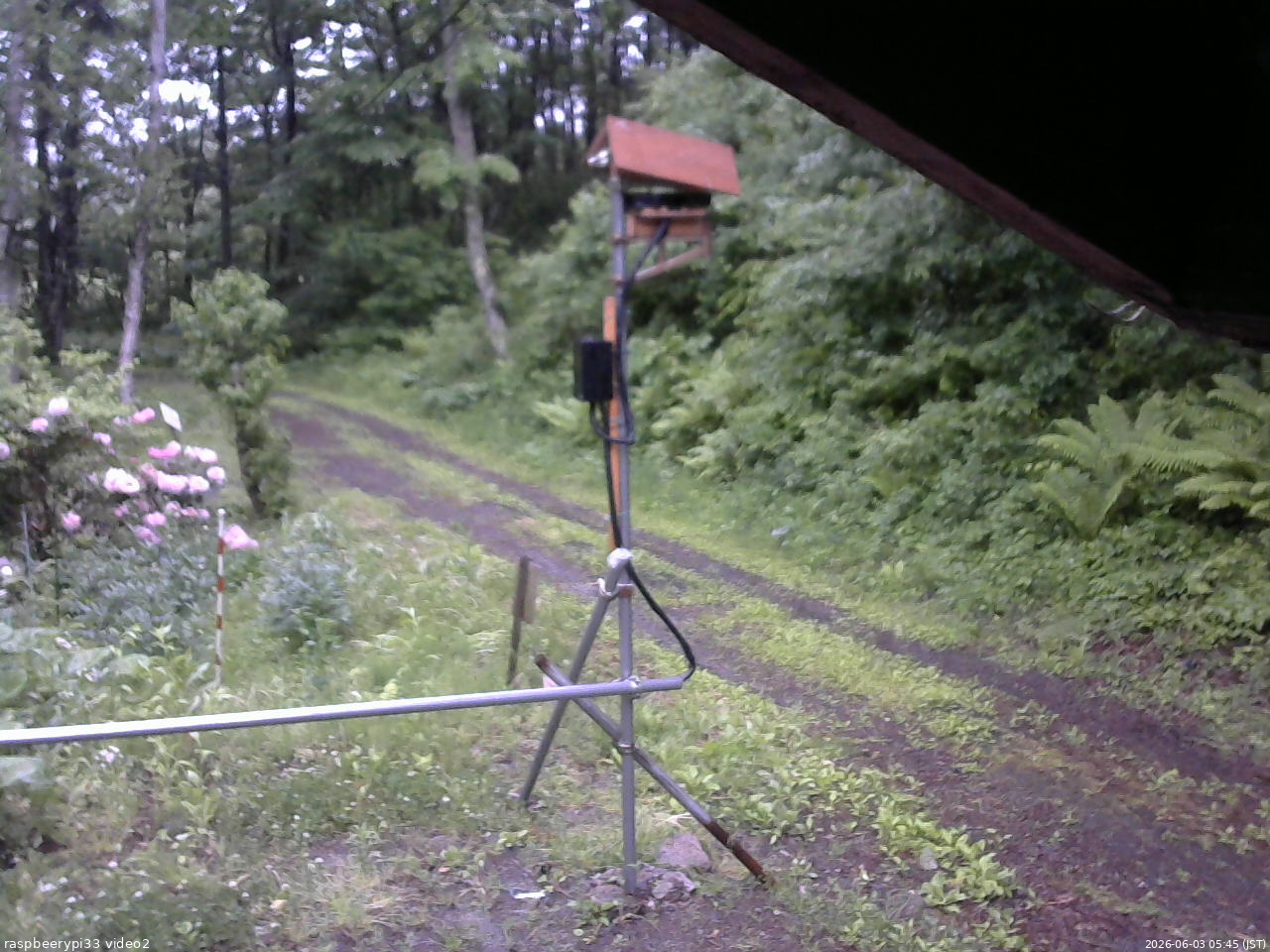 長野県菅平高原 ゆたか山荘 南側 2026/06/03 05:45