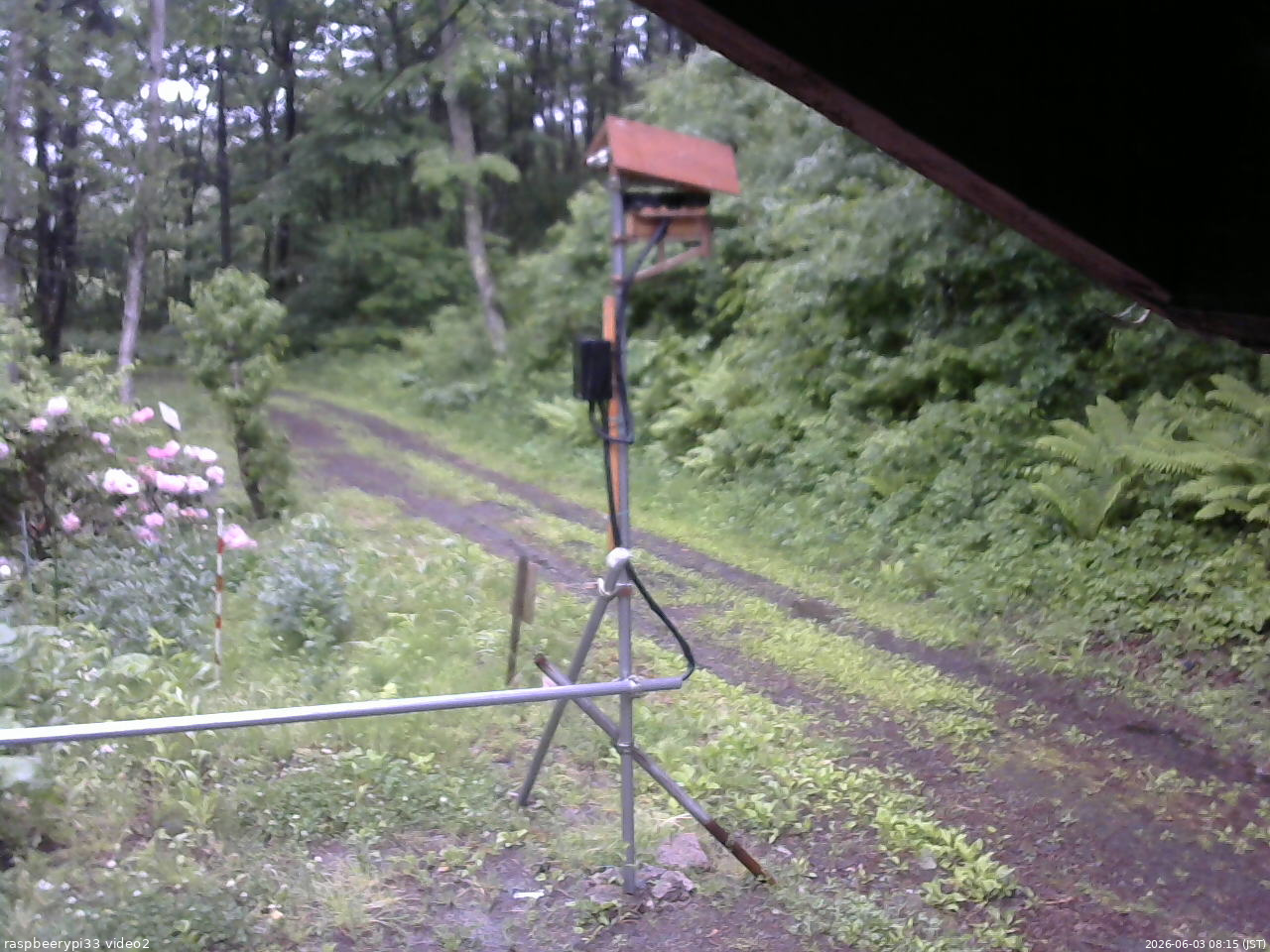 長野県菅平高原 ゆたか山荘 南側 2026/06/03 08:15