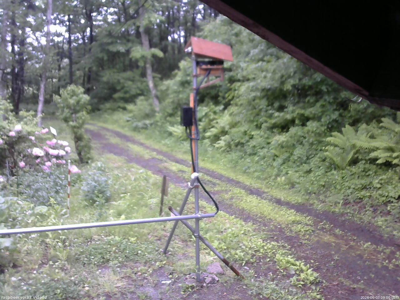 長野県菅平高原 ゆたか山荘 南側 2026/06/03 09:00