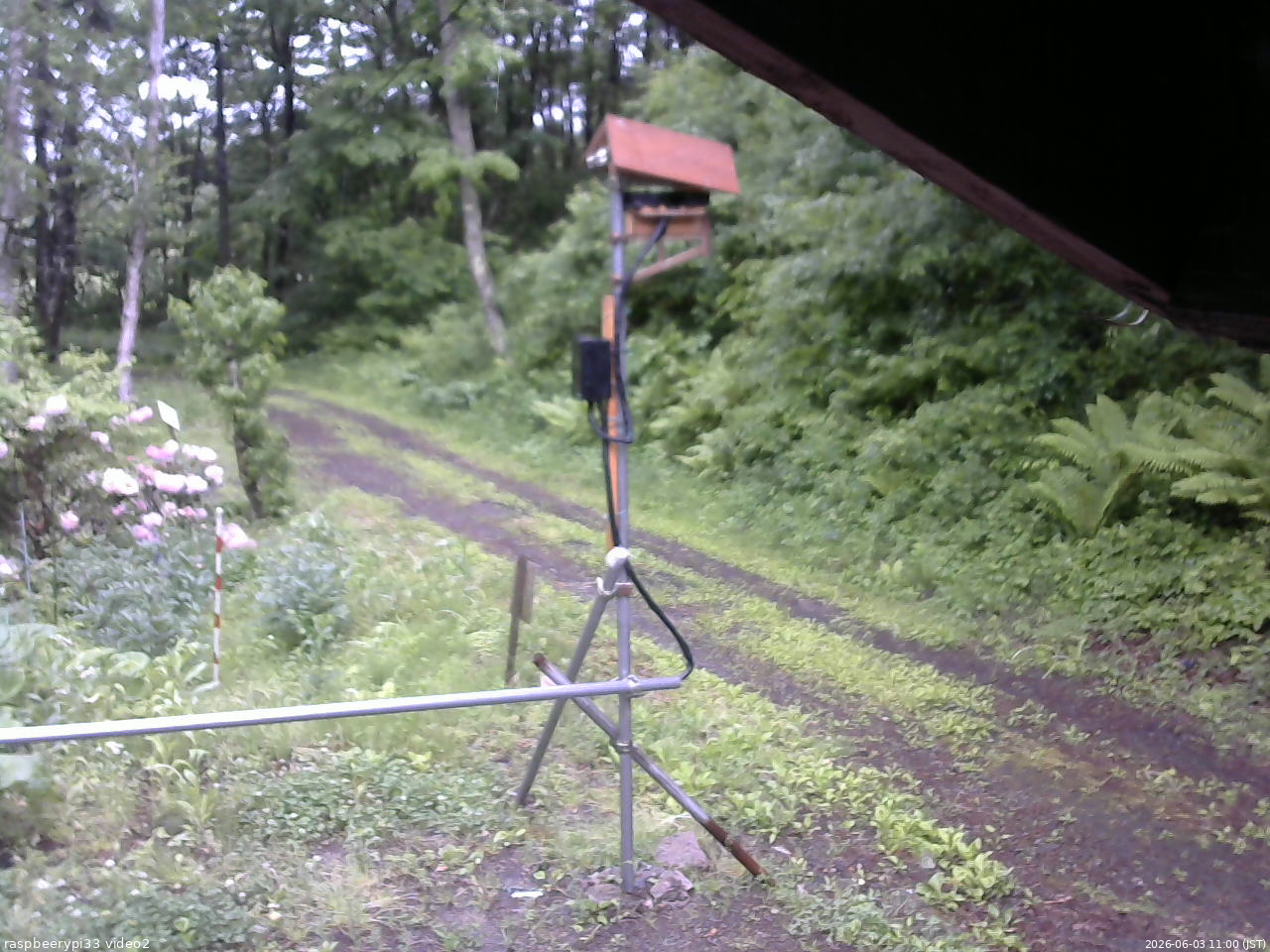 長野県菅平高原 ゆたか山荘 南側 2026/06/03 11:00