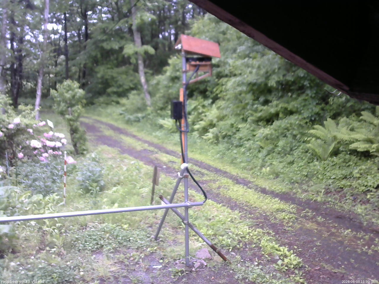 長野県菅平高原 ゆたか山荘 南側 2026/06/03 11:30