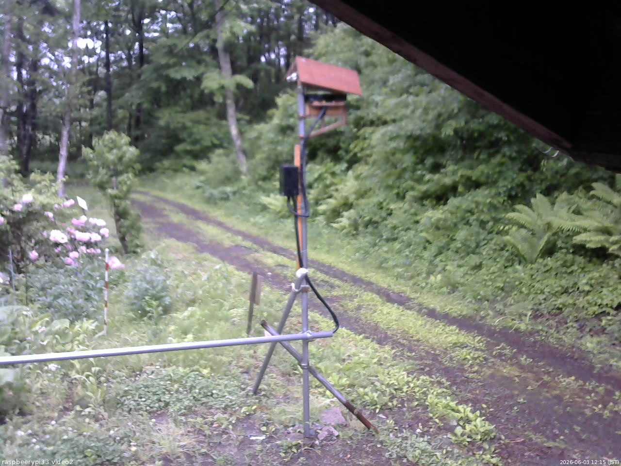長野県菅平高原 ゆたか山荘 南側 2026/06/03 12:15