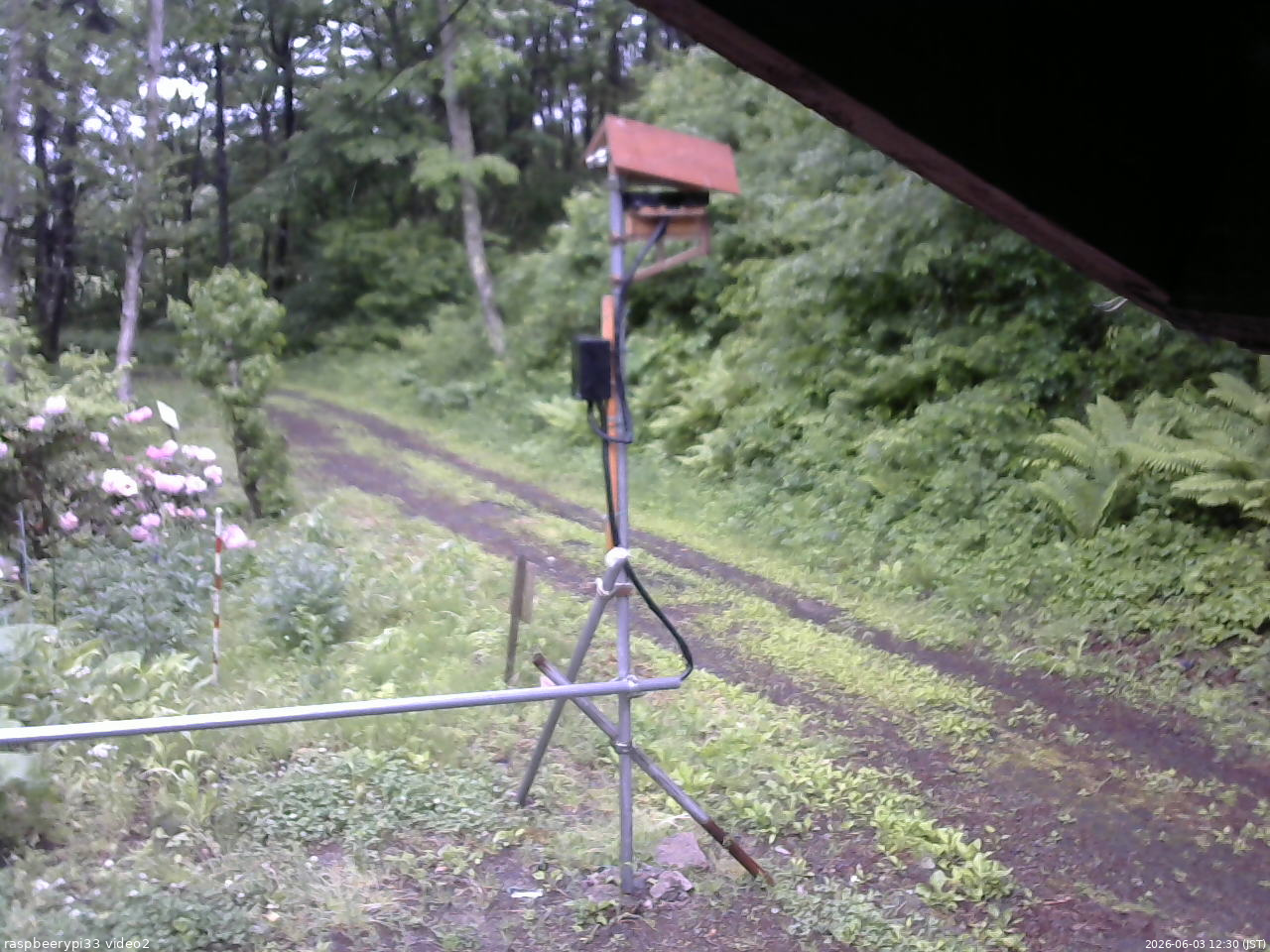 長野県菅平高原 ゆたか山荘 南側 2026/06/03 12:30