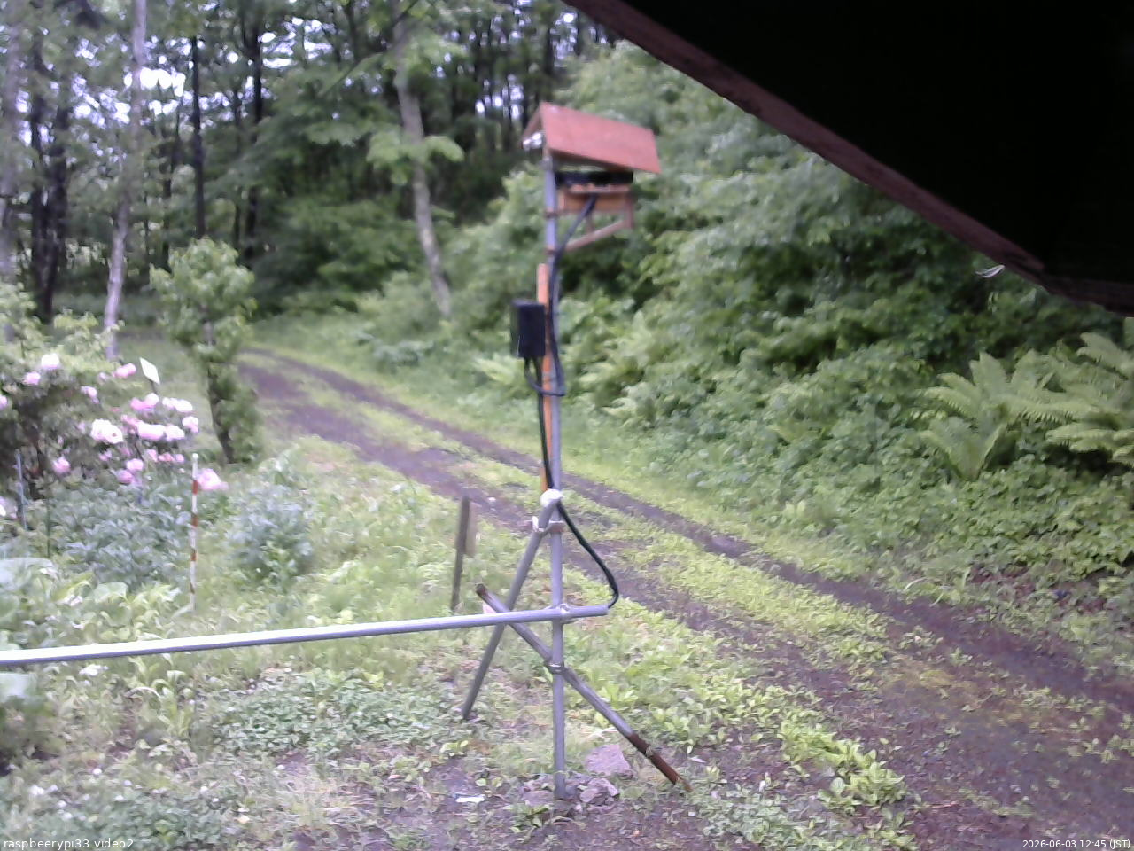 長野県菅平高原 ゆたか山荘 南側 2026/06/03 12:45