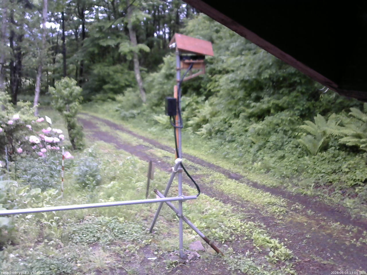 長野県菅平高原 ゆたか山荘 南側 2026/06/03 13:00