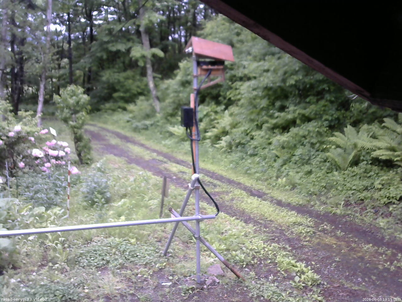 長野県菅平高原 ゆたか山荘 南側 2026/06/03 13:15