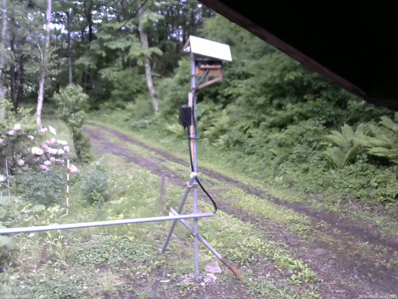 長野県菅平高原 ゆたか山荘 南側 2026/06/03 14:45