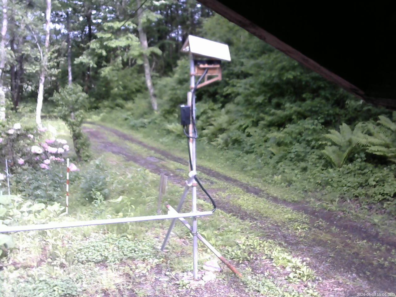 長野県菅平高原 ゆたか山荘 南側 2026/06/03 15:00