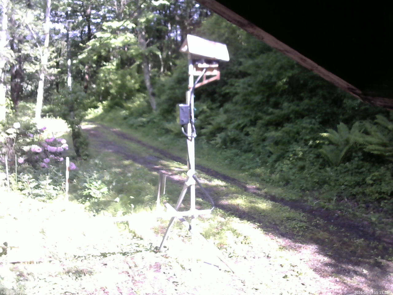 長野県菅平高原 ゆたか山荘 南側 2026/06/03 15:15