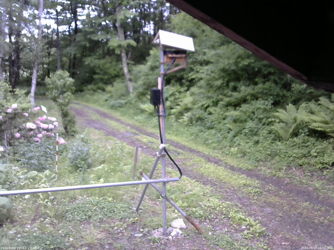 長野県菅平高原 ゆたか山荘 南側 2026/06/03 16:00