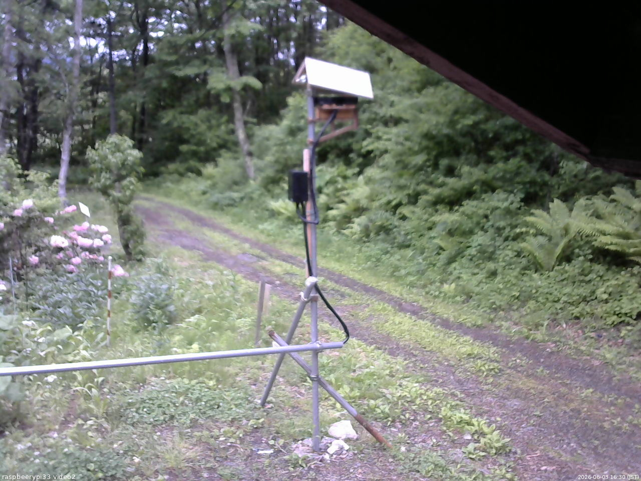 長野県菅平高原 ゆたか山荘 南側 2026/06/03 16:30