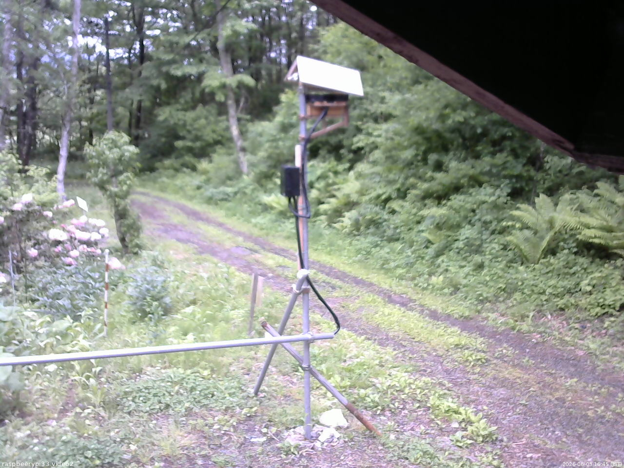 長野県菅平高原 ゆたか山荘 南側 2026/06/03 16:45