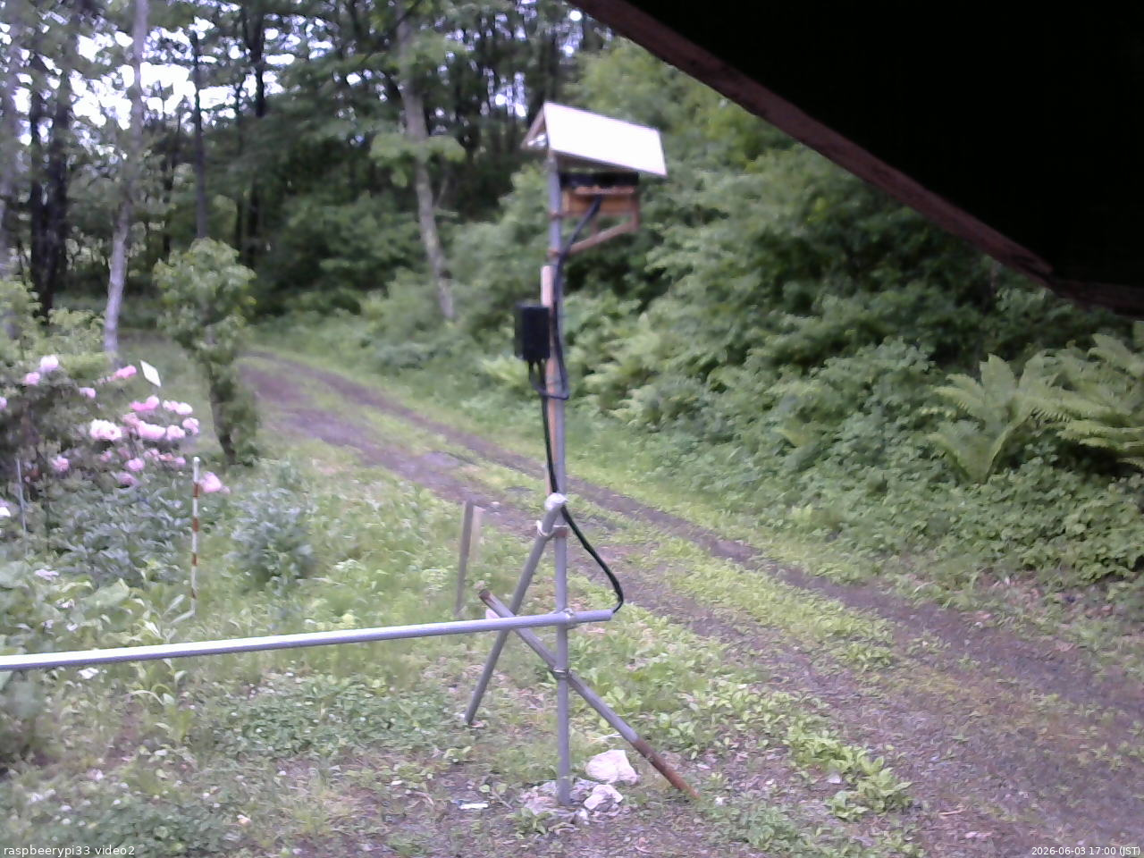 長野県菅平高原 ゆたか山荘 南側 2026/06/03 17:00