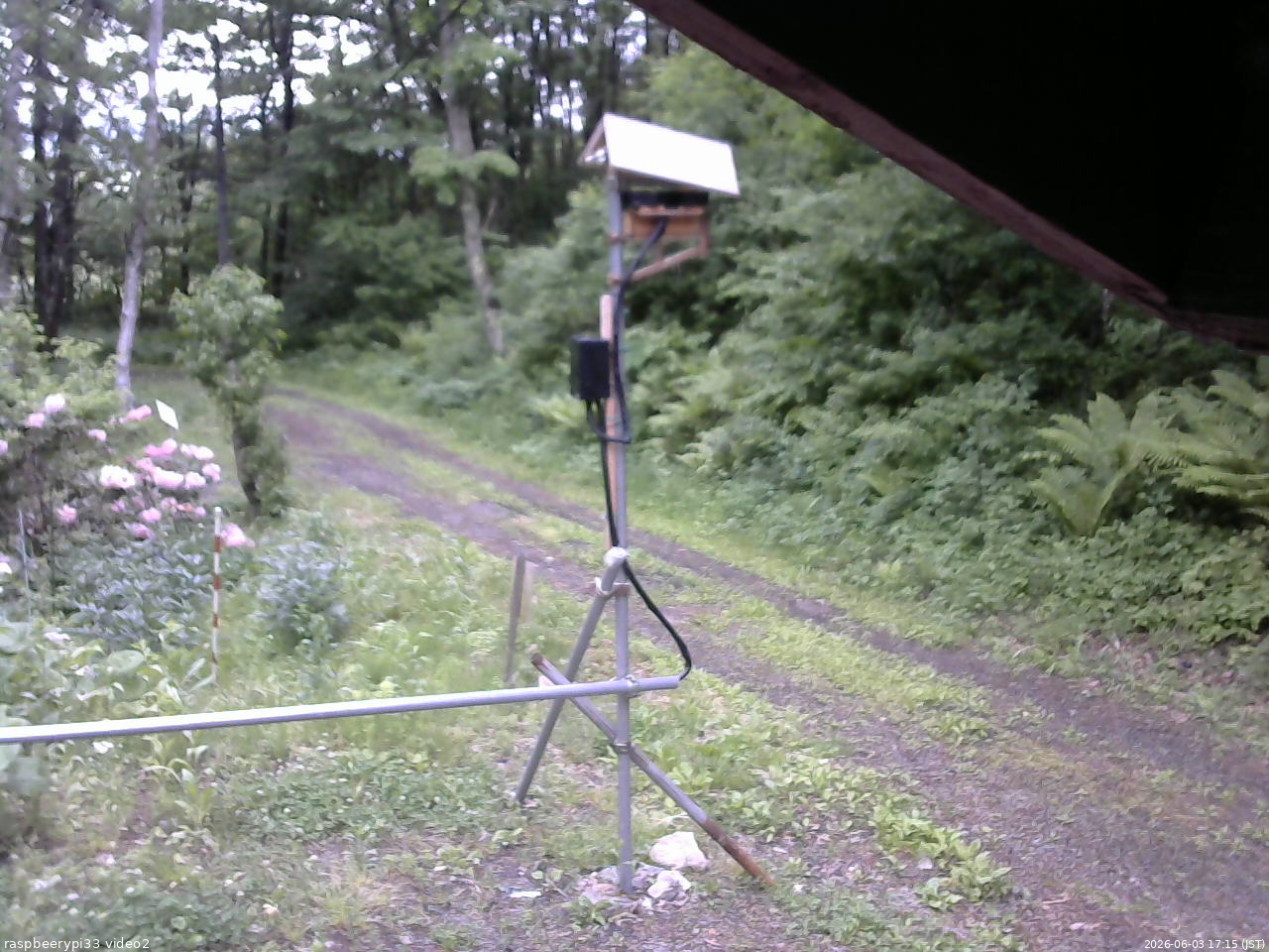 長野県菅平高原 ゆたか山荘 南側 2026/06/03 17:15
