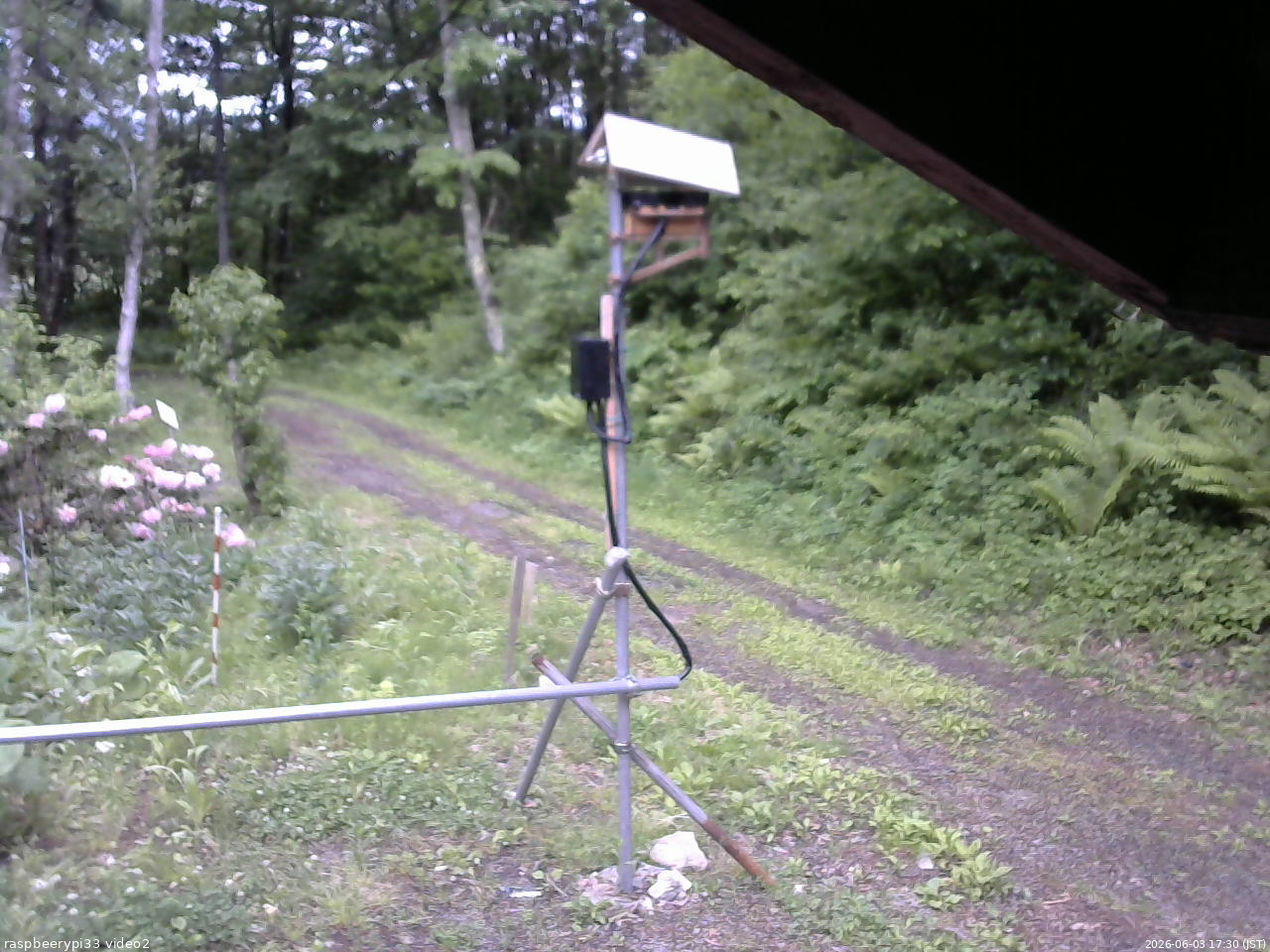 長野県菅平高原 ゆたか山荘 南側 2026/06/03 17:30