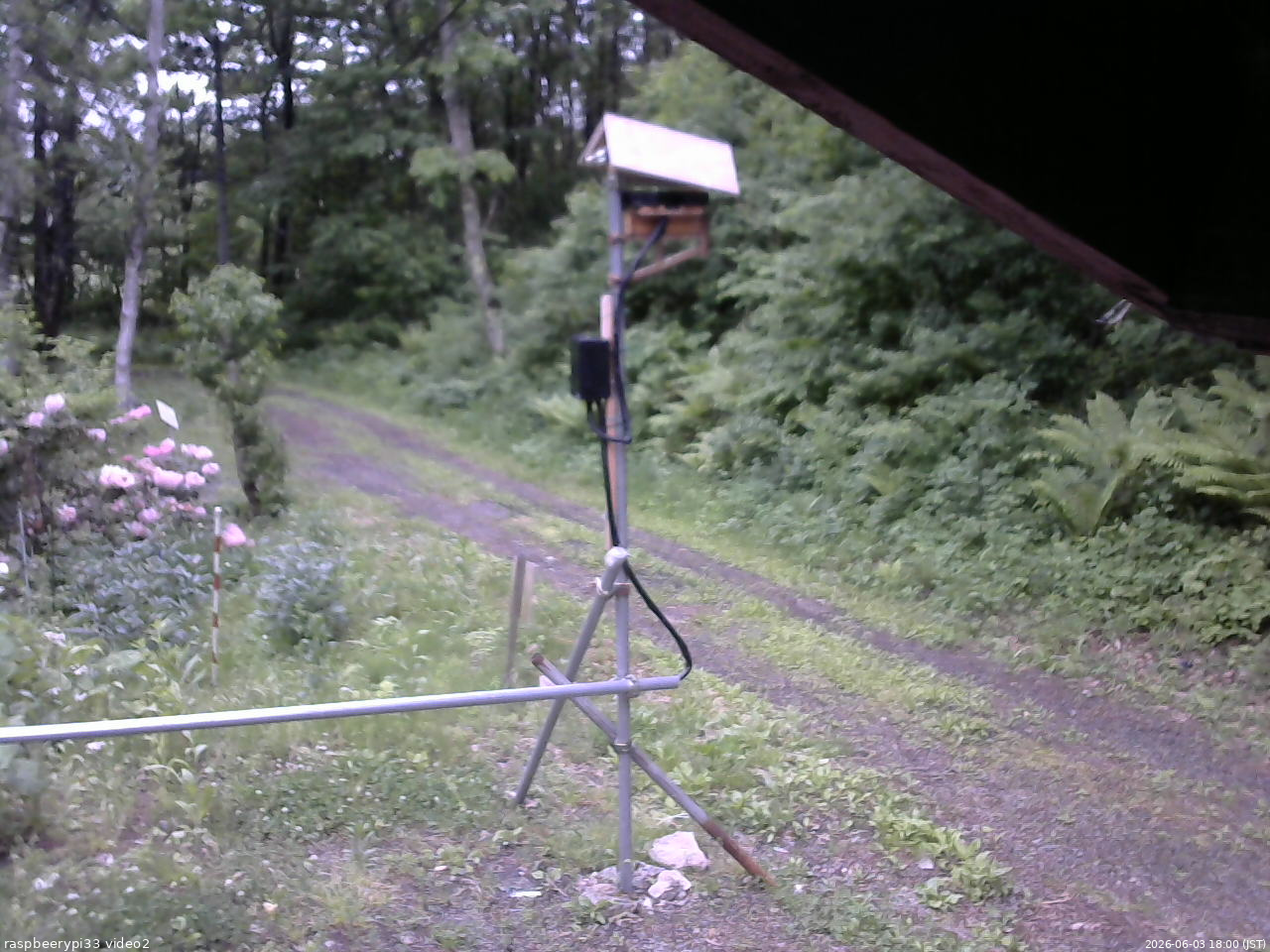長野県菅平高原 ゆたか山荘 南側 2026/06/03 18:00