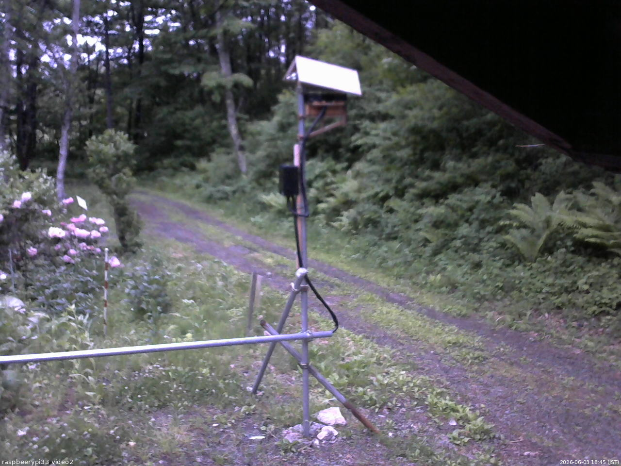 長野県菅平高原 ゆたか山荘 南側 2026/06/03 18:45