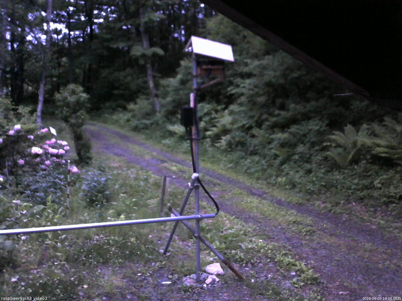 長野県菅平高原 ゆたか山荘 南側 2026/06/03 19:00
