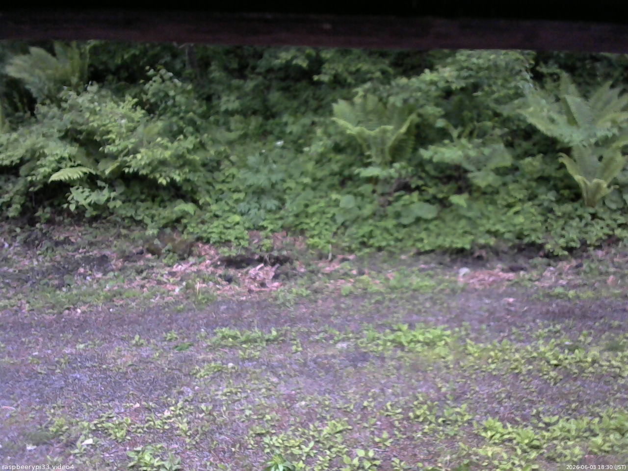 長野県菅平高原 ゆたか山荘 東側(坂下) 2026/06/03 18:30