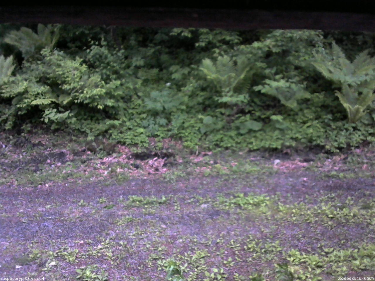 長野県菅平高原 ゆたか山荘 東側(坂下) 2026/06/03 18:45