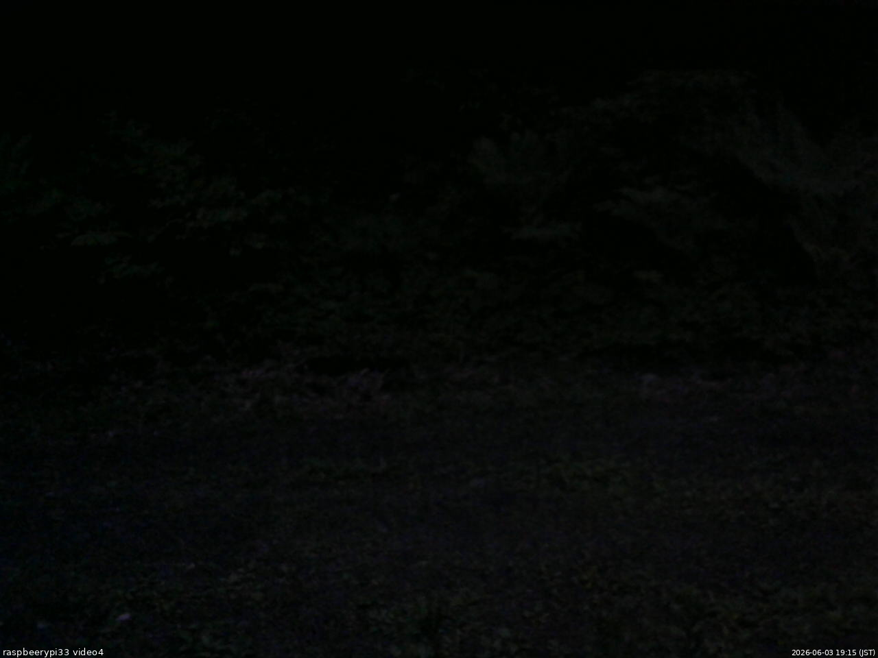 長野県菅平高原 ゆたか山荘 東側(坂下) 2026/06/03 19:15