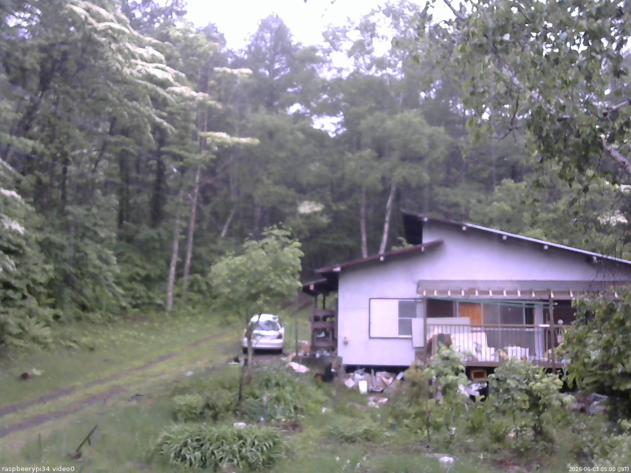 長野県菅平高原 ゆたか山荘 西側(坂上) 2026/06/03 05:00